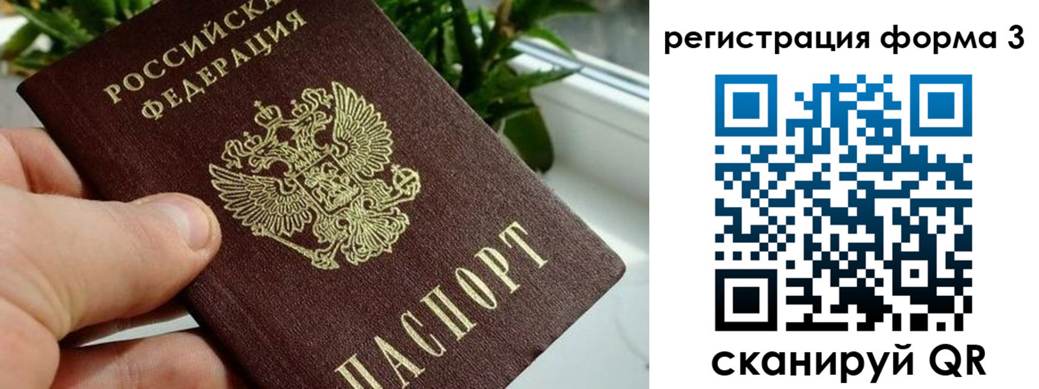 прописка штамп в Балее